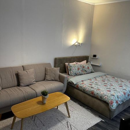 1 Bedroom Apartment Near Kadriorg Swan Pond Tallin Exterior foto