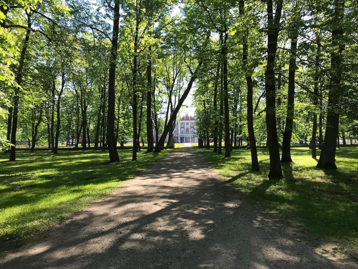 1 Bedroom Apartment Near Kadriorg Swan Pond Tallin Exterior foto